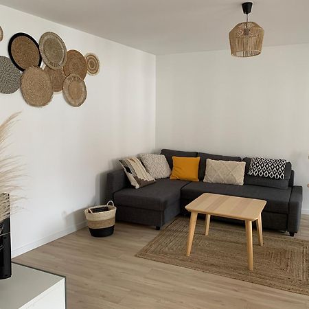 Les Rives Du Chateau, 90M2, Vue Sur Le Canal Saverne Bagian luar foto