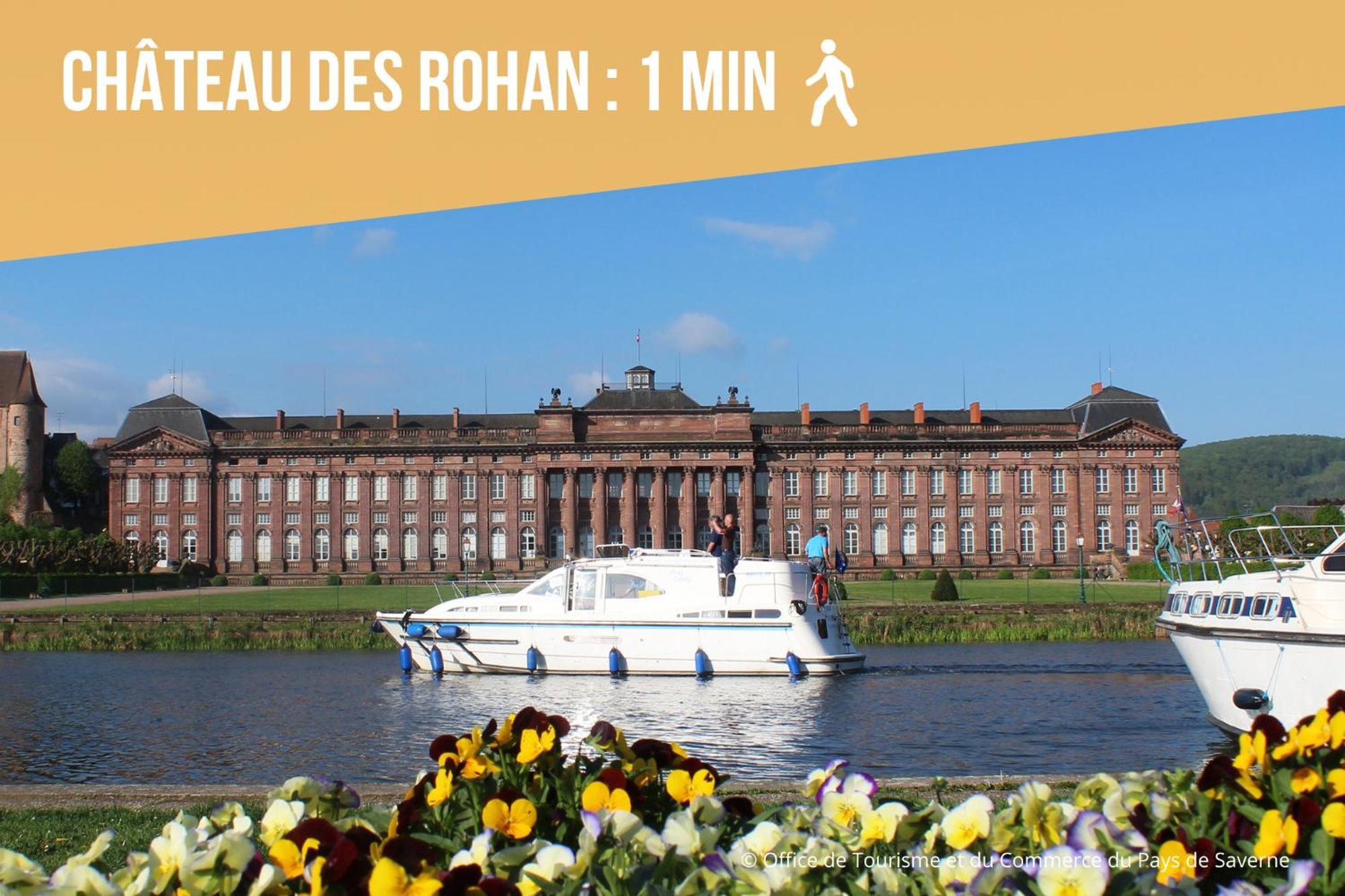 Les Rives Du Chateau, 90M2, Vue Sur Le Canal Saverne Bagian luar foto