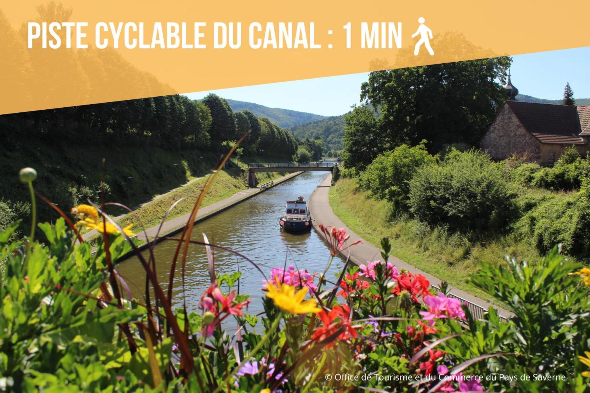 Les Rives Du Chateau, 90M2, Vue Sur Le Canal Saverne Bagian luar foto