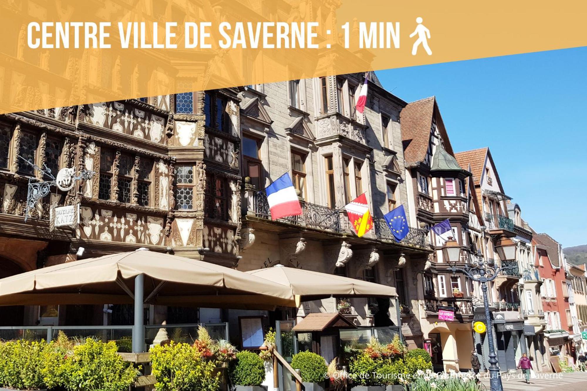 Les Rives Du Chateau, 90M2, Vue Sur Le Canal Saverne Bagian luar foto