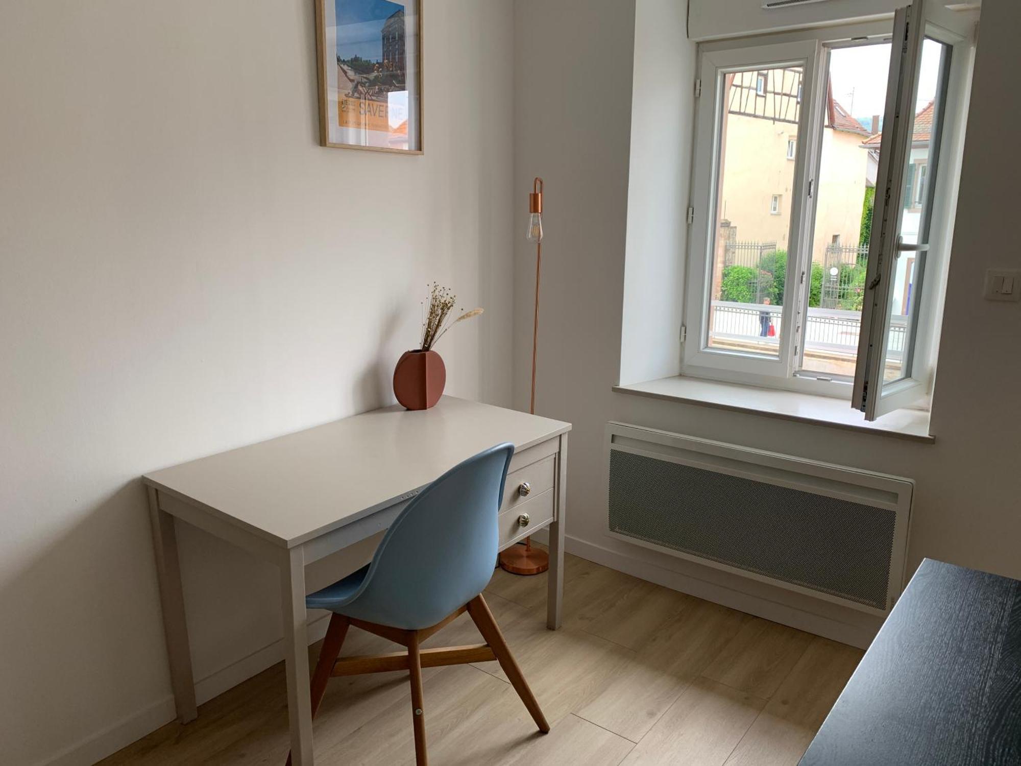 Les Rives Du Chateau, 90M2, Vue Sur Le Canal Saverne Bagian luar foto